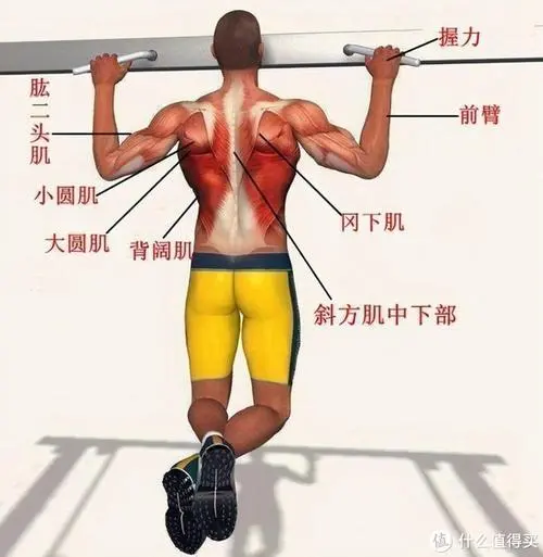 园林绿化工程苗木人杭州
